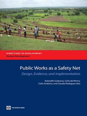 cover image of Public Works as a Safety Net